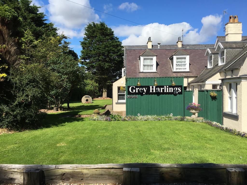 Grey Harlings Rooms Montrose Extérieur photo